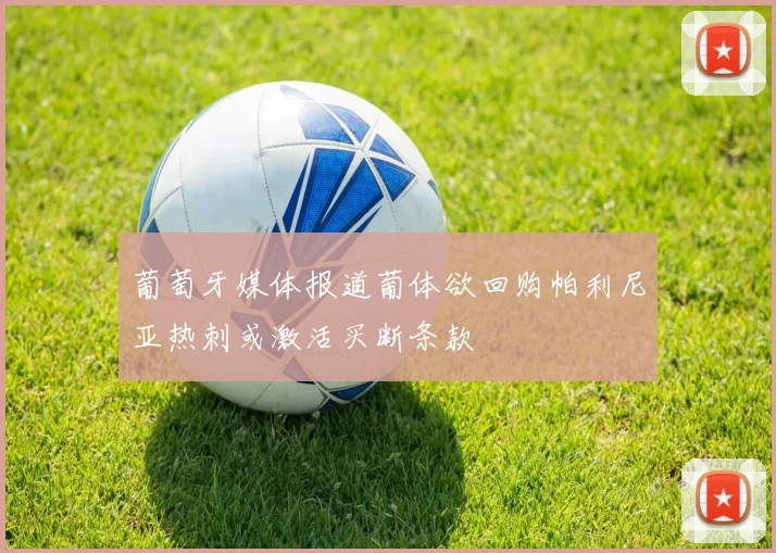 葡萄牙媒体报道葡体欲回购帕利尼亚热刺或激活买断条款