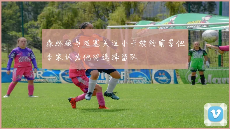 森林狼与活塞关注小卡续约前景但专家认为他将选择留队